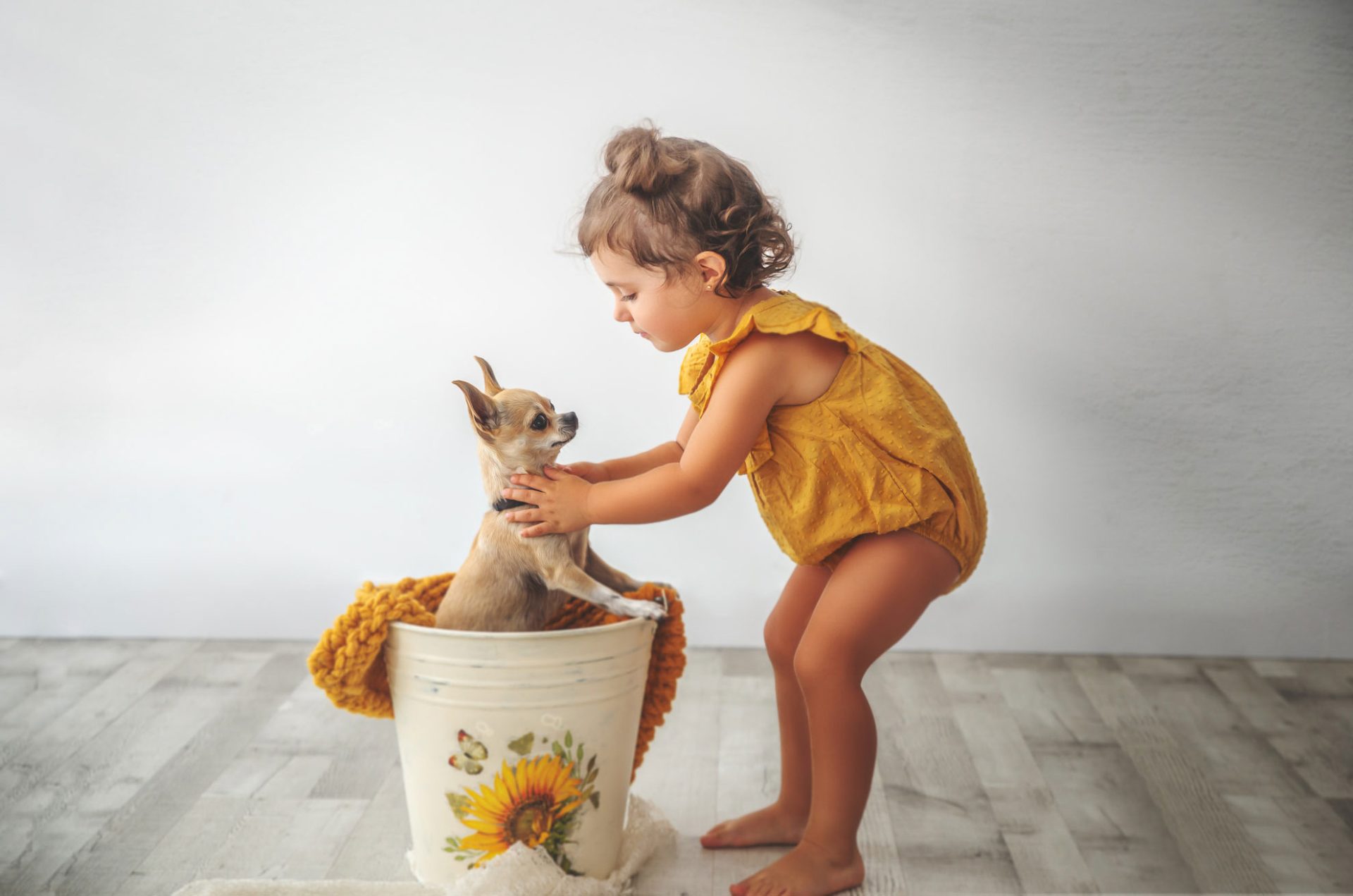 Niña con su chihuahua en sesión de fotos infantil